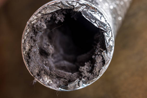 Best Home Air Vent Cleaning  in Millers Creek, NC