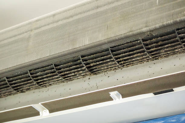 Best Local Air Duct Cleaning Services  in Millers Creek, NC